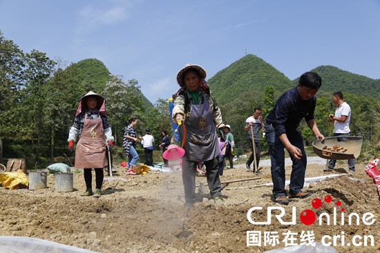 黔南州长顺县创新基层党建助力脱贫攻坚