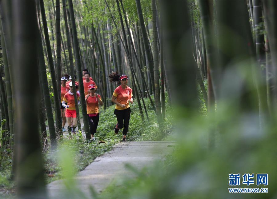 重庆北碚：跑步山林间