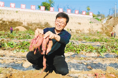 沿黄路，百姓心中的致富路