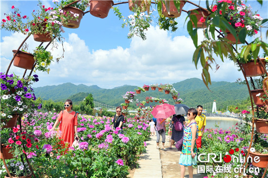 【行游巴渝 图文】重庆石柱：云中花都好消夏