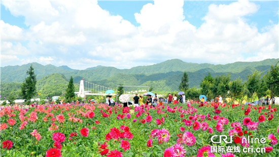 【行游巴渝 图文】重庆石柱：云中花都好消夏