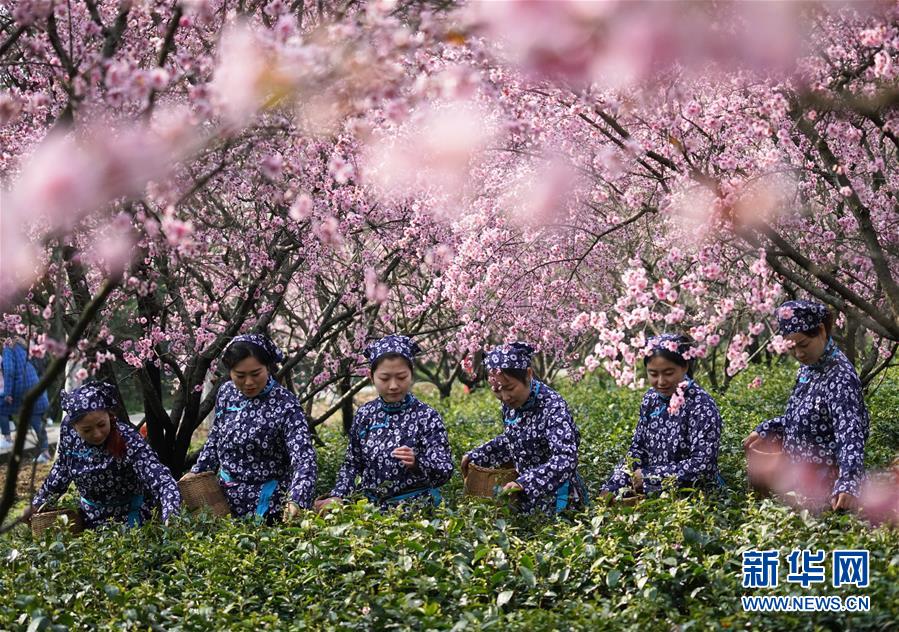 图片默认标题