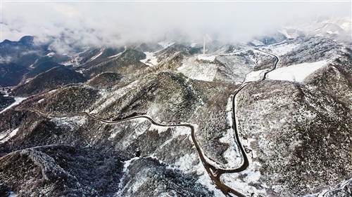 【渝情渝景2】春雪巴山丽 春风花草香