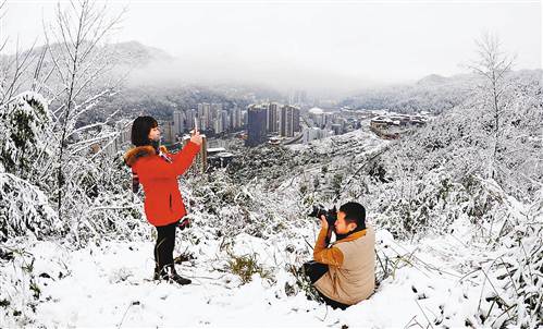 【渝情渝景2】春雪巴山丽 春风花草香