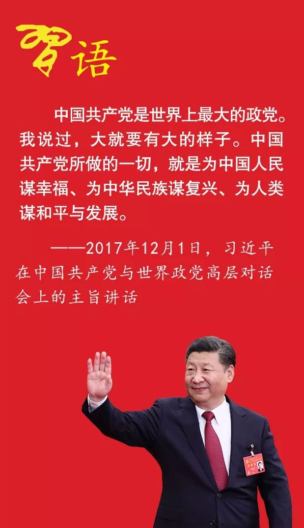 习近平眼中“大党的样子”