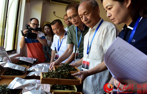 政和精选好茶 力图提高白茶知名度助力农民脱贫致富