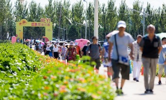 长春莲花山葵花园8月10日正式开园