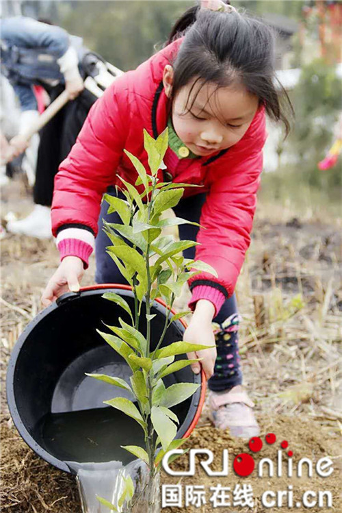 【社会民生列表】践行绿色生态参与植树造林 纭观山庄添新绿