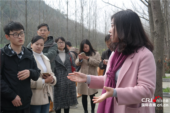 勉县温泉镇将打造西北第一温泉文化旅游名镇