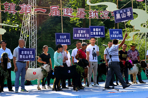 不签【区县联动】【云阳】重庆云阳县农坝镇第一届避暑纳凉节举行