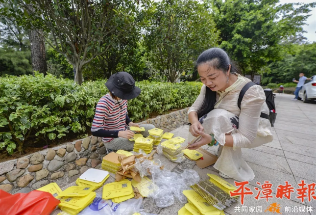 平潭对公园树木、花木悬挂“身份牌” 提升市民绿化知识