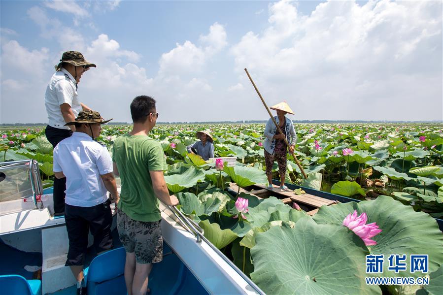 守护一湖碧水——新时代的“洪湖护卫队”