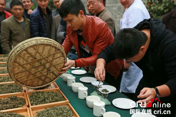 邛崃茶园风景如画 斗茶大赛火热进行