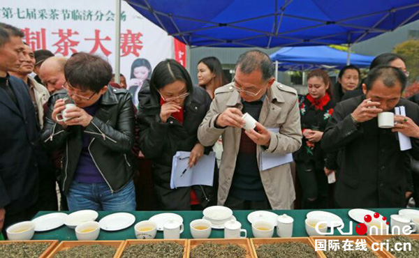 邛崃茶园风景如画 斗茶大赛火热进行