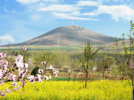 春到露峰山_fororder_02春到露峰山(满意)_副本