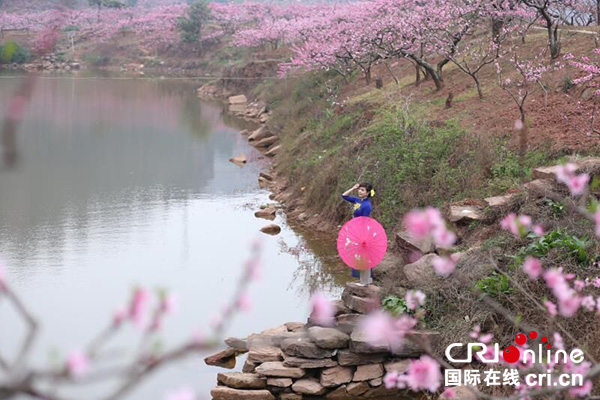 当旗袍遇上龙泉十里桃花 美到"时间静止"