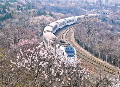 居庸关"花海列车"屡现游客破坏护网 多人被劝离