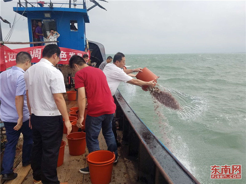 福建增殖放流：为了可持续的蓝色家园