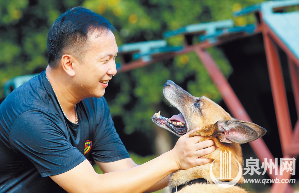 “退”不下来的搜爆犬梅西