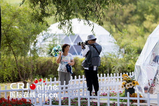 游客在长春莲花山葵花园拍照。_fororder_游客在长春莲花山葵花园拍照。