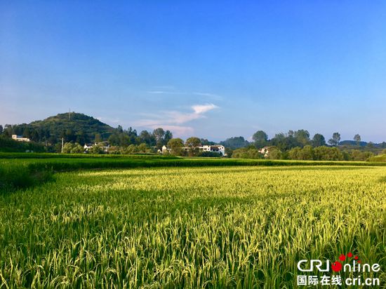 （急稿）贵州黔西解放村撕下“贫困标签”打造“诗画乡村”