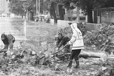 应对强降雨辽宁转移人口45037人