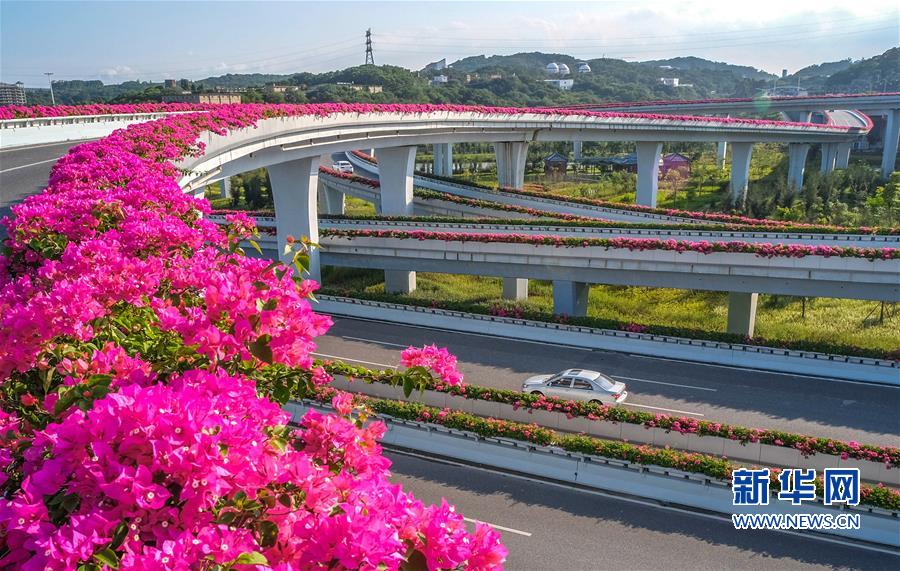 福建泉州：花开立交桥