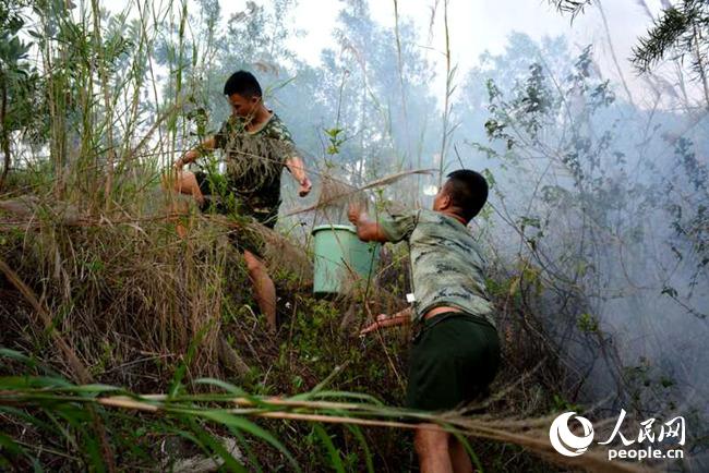 清明祭扫引大火 海警迅速变身消防员(组图)