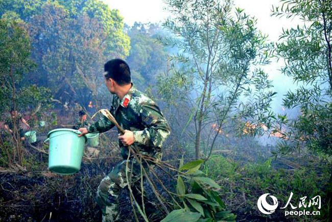 清明祭扫引大火 海警迅速变身消防员(组图)