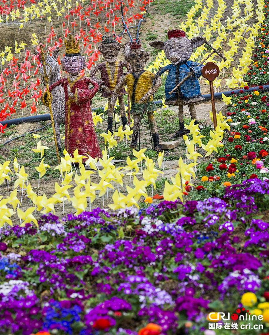 清明节期间 四川仙山花谷百花争艳迎宾客