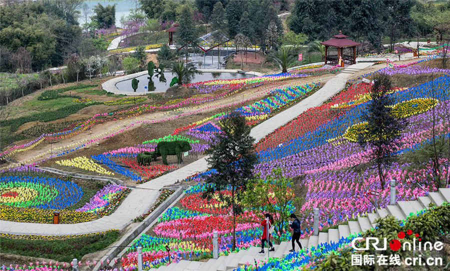 清明节期间 四川仙山花谷百花争艳迎宾客