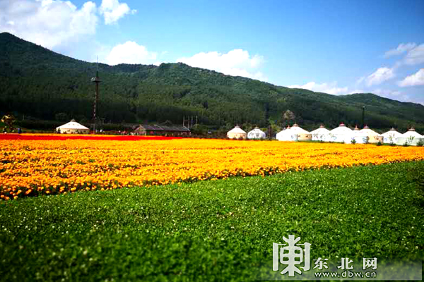 鲜花组成的”航空母舰”黑龙江大美花海