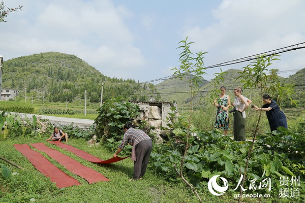 （市州 安顺/客户端 贵州）法国服装设计师到贵州镇宁拜访蜡染艺人