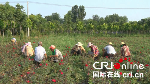 【河南在线-文字列表】【移动端-文字列表】河南鲁山：打造强劲电力“引擎” “照亮”脱贫之路