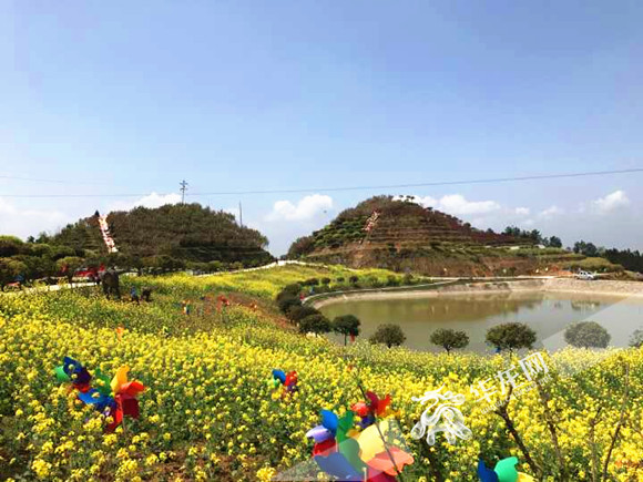 【区县联动】【巴南】巴南:接龙赏花旅游节开幕 赏樱花 观民俗 品春茶【区县联动】重庆巴南:接龙民俗赏花旅游文化节开幕