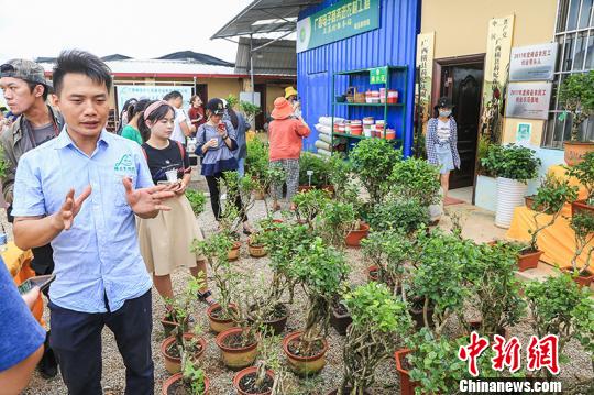 “中国茉莉之乡”广西横县借“一带一路”飘香世界