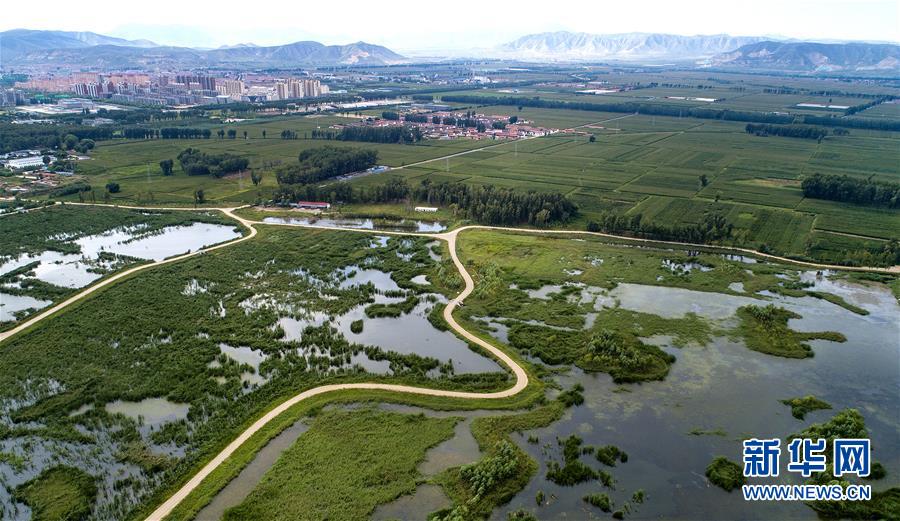 山西广灵：壶流河湿地 江南风韵