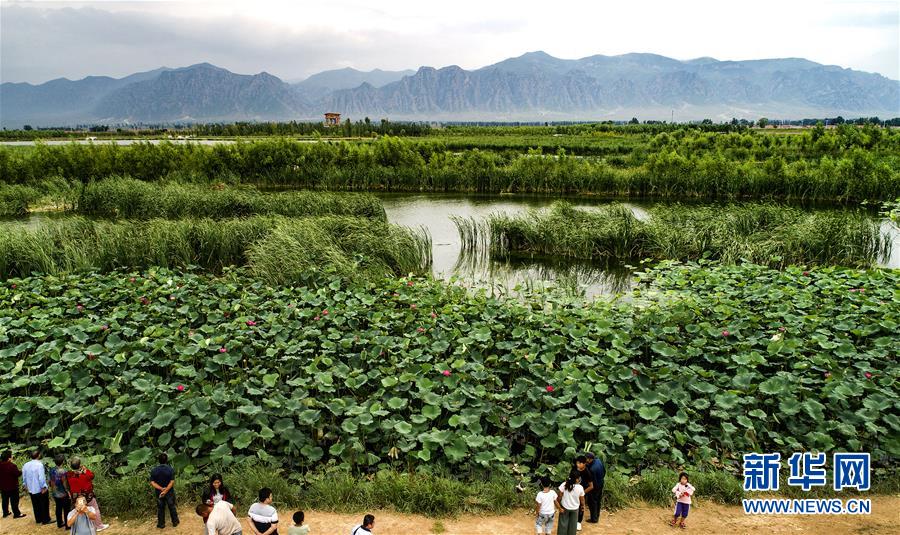 山西广灵：壶流河湿地 江南风韵