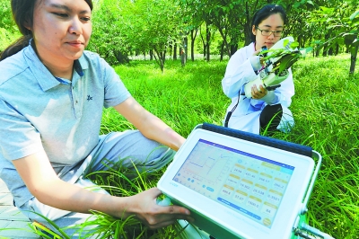 北京“土著植物” 有处展示基地