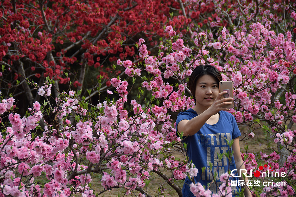 北京奥森公园春意浓 踏青赏花正当时(组图)