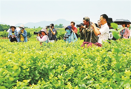 拥抱“旅游+” 发展新业态