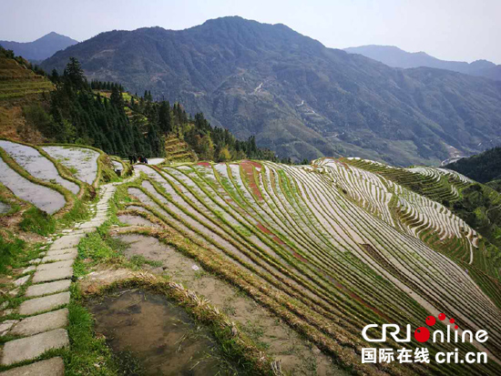 生态立县 绿色崛起——广西龙胜立足旅游业兴县富民