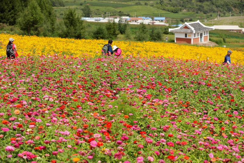 延边图们市日光山民俗风情园举办采风节