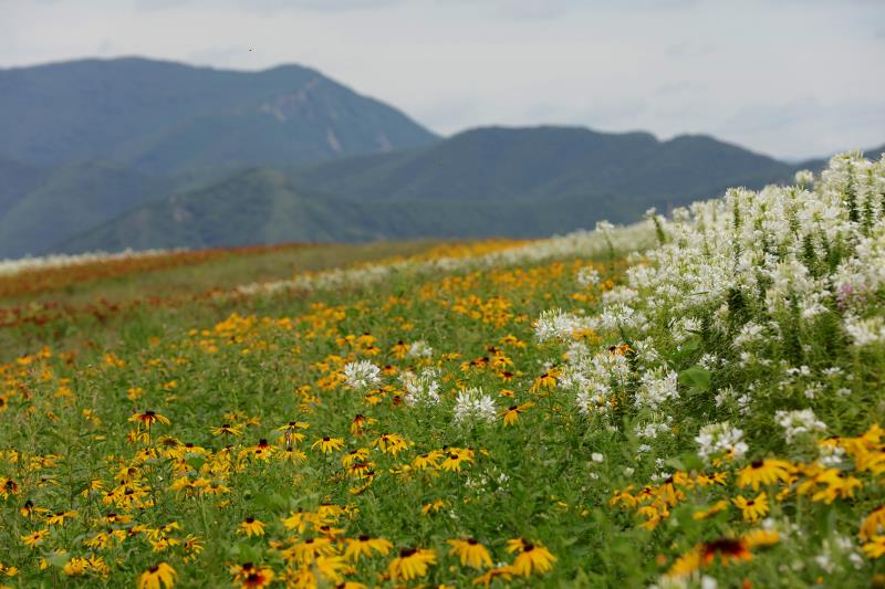 延边图们市日光山民俗风情园举办采风节