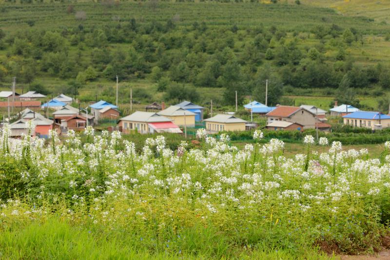 延边图们市日光山民俗风情园举办采风节