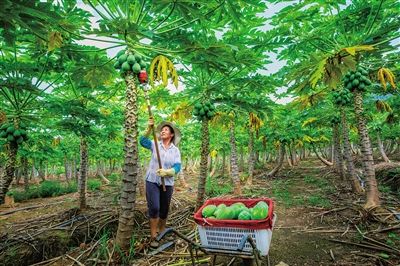 末尾有图【琼岛先锋图文列表】【即时快讯】海垦今年将为职工办十件实事