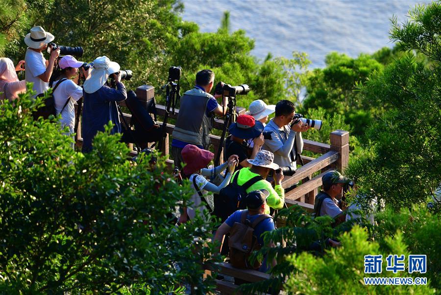 福建霞浦：光影滩涂 旅摄“圣地”