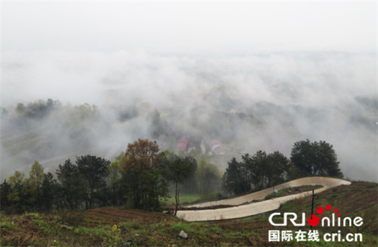 中外记者雨中登山看茶园 云雾缭绕赞叹风光无限好