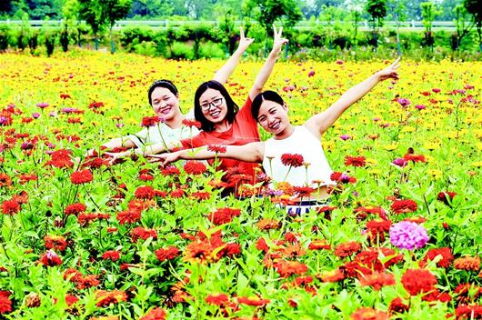 老河口市仙人渡镇“乡村花园”各花竞相开放