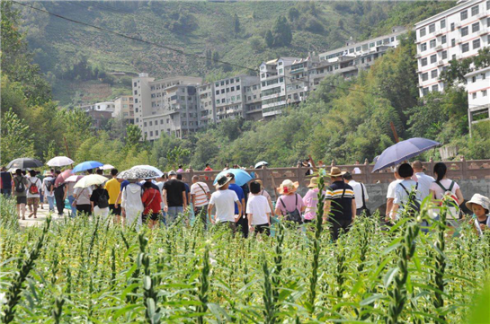 200名自驾车友在陕西紫阳开启“山花工程·后备箱行动”暨旅游公益扶贫活动